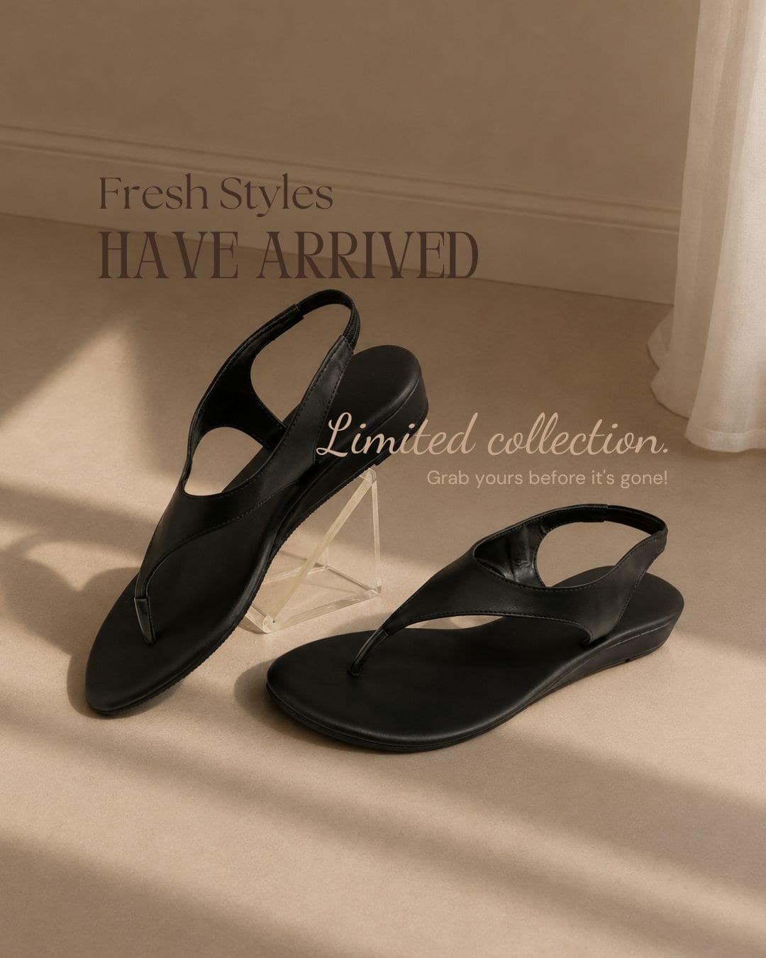 Fresh Styles Have Arrived
